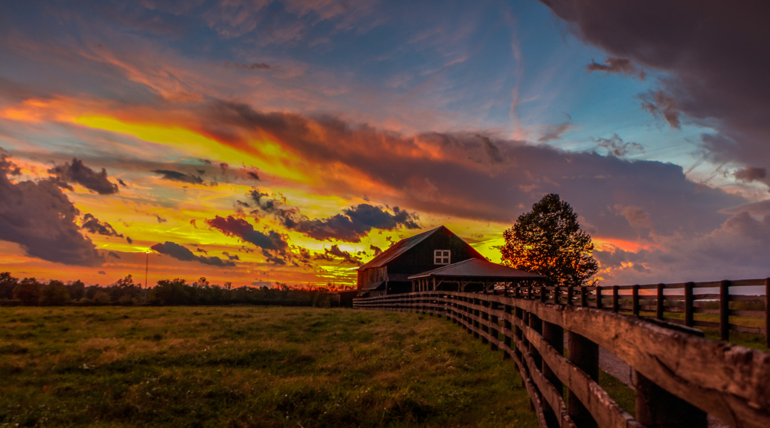 I Gotta gut plumbing is your trusted plumber near versailles, kentucky